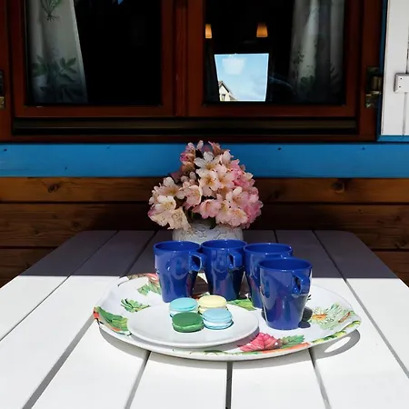 Rekin Podgrzewany Basen Z Brodzikiem Oraz Klimatyzacja Rewal