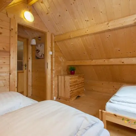 Rekin Podgrzewany Basen Z Brodzikiem Oraz Klimatyzacja *